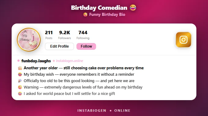 Funny Birthday Bio For Instagram